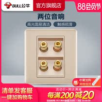 Bull socket Flagship switch socket Two-position audio speaker cable socket Speaker audio socket panel G28