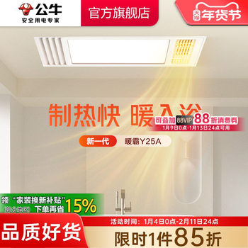 Bull Y25A Multifunctional Air Heating Bathroom Heater with Lighting and Exhaust Fan Integrated Ceiling Heater for Bathroom and Toilet