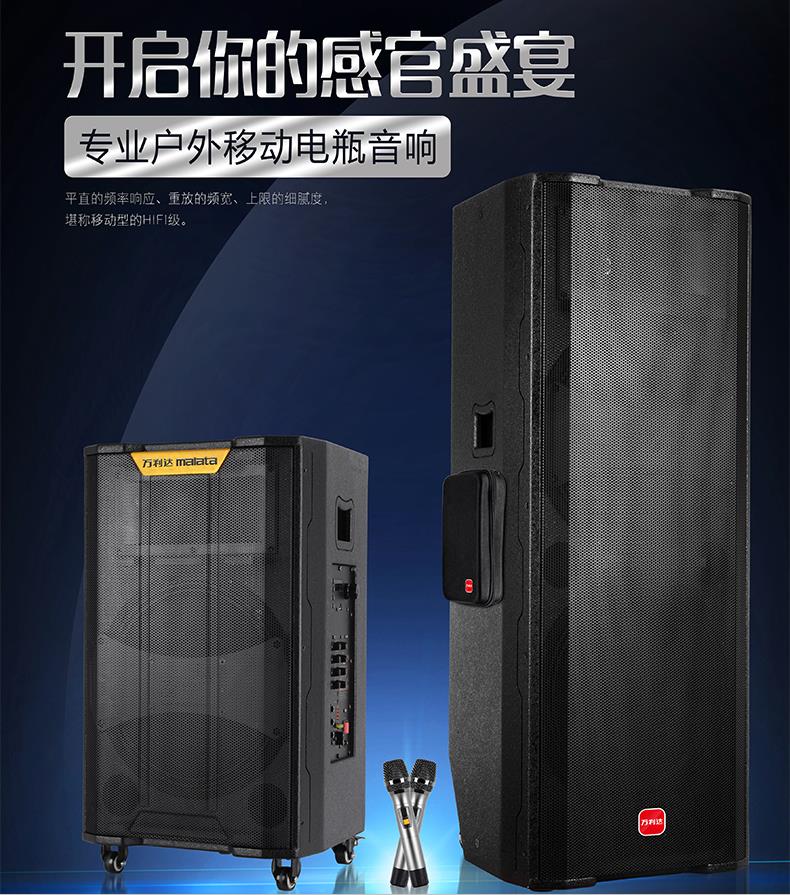 Vanlida Sound Fly Sky II Three Frequency Division High Power Square Dance Outdoor Fast Hand Live K Song Double 15-inch Sound Box