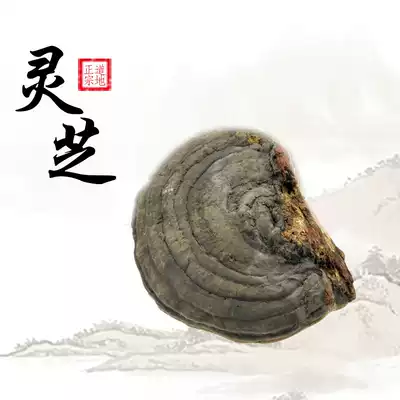 Lan Shengtang Ganoderma lucidum Tibet flat cover Ganoderma lucidum tree tongue Ganoderma lucidum whole cut Ganoderma Zhi tea 500g