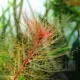 3 Юань из Уруси Полифрикона 6 Юань