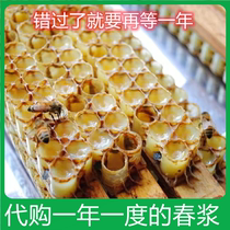 The annual royal jelly 500 gr (finished with a quick and quick quick-frozen sepp shipment)