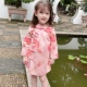 Pink Plum Fan Qiuhe