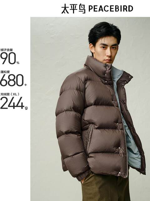 [High down Filling]Peacebird Men's Clothing 2024 Winter New Color-Block Cold-Resistant down Jacket