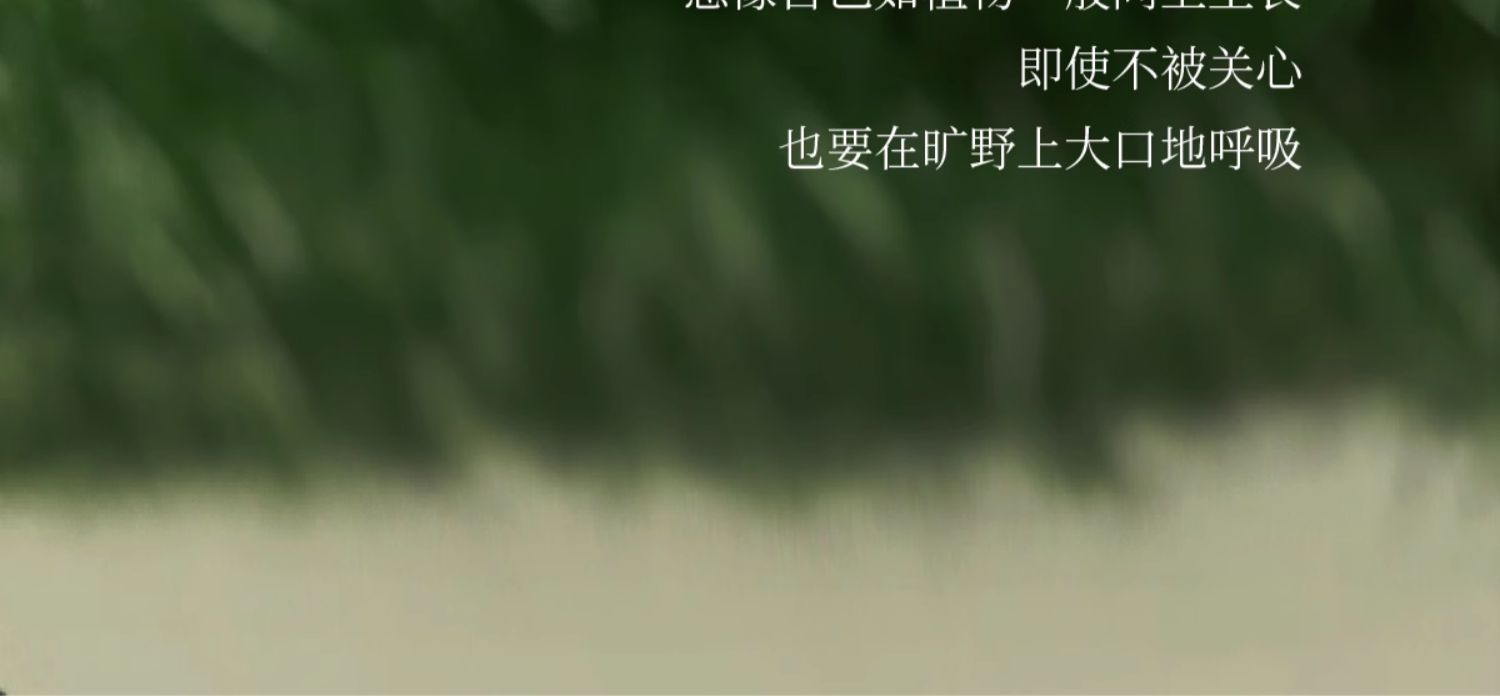 商品详情图