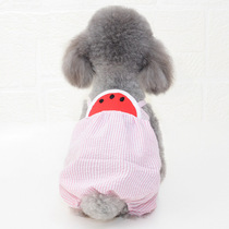 Net Red Little Dogs Clothes Summer Thin back with pants Teddy clothes Pets Boomeo Bears small puppies Protection