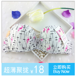 Fixation pour soutien-gorge - Ref 824235 Image 12