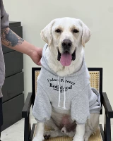 Конфетно-серый (плюс бархатный)