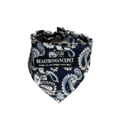 Петухой собака, интернет -знаменитый треугольник шарф, красивые ретро -аксессуары, большая собака, лабрадор Золотая слюна полотенце