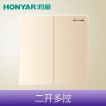 Hongyan switch Q3 Chunyue 86 type two-open multi-control two-open three-control mid-way switch champagne gold panel