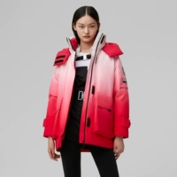 Rose Red Gradient Vanxi Rose Red 9a7b
