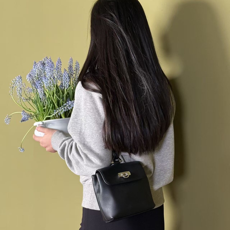 Qeeji Old Money Style Italian Imported Top-Grain Leather Horseshoe Buckle Vintage Elegant Single Shoulder Crossbody Handbag