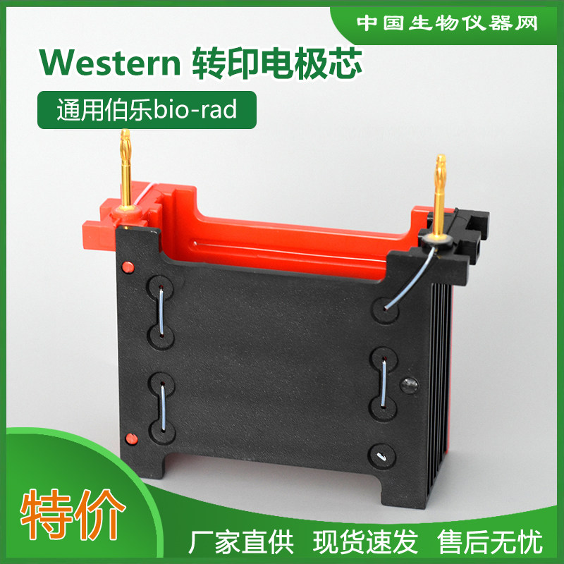 wb转膜电极架转印电泳模块bio-rad 伯乐 westen转膜配件1703935