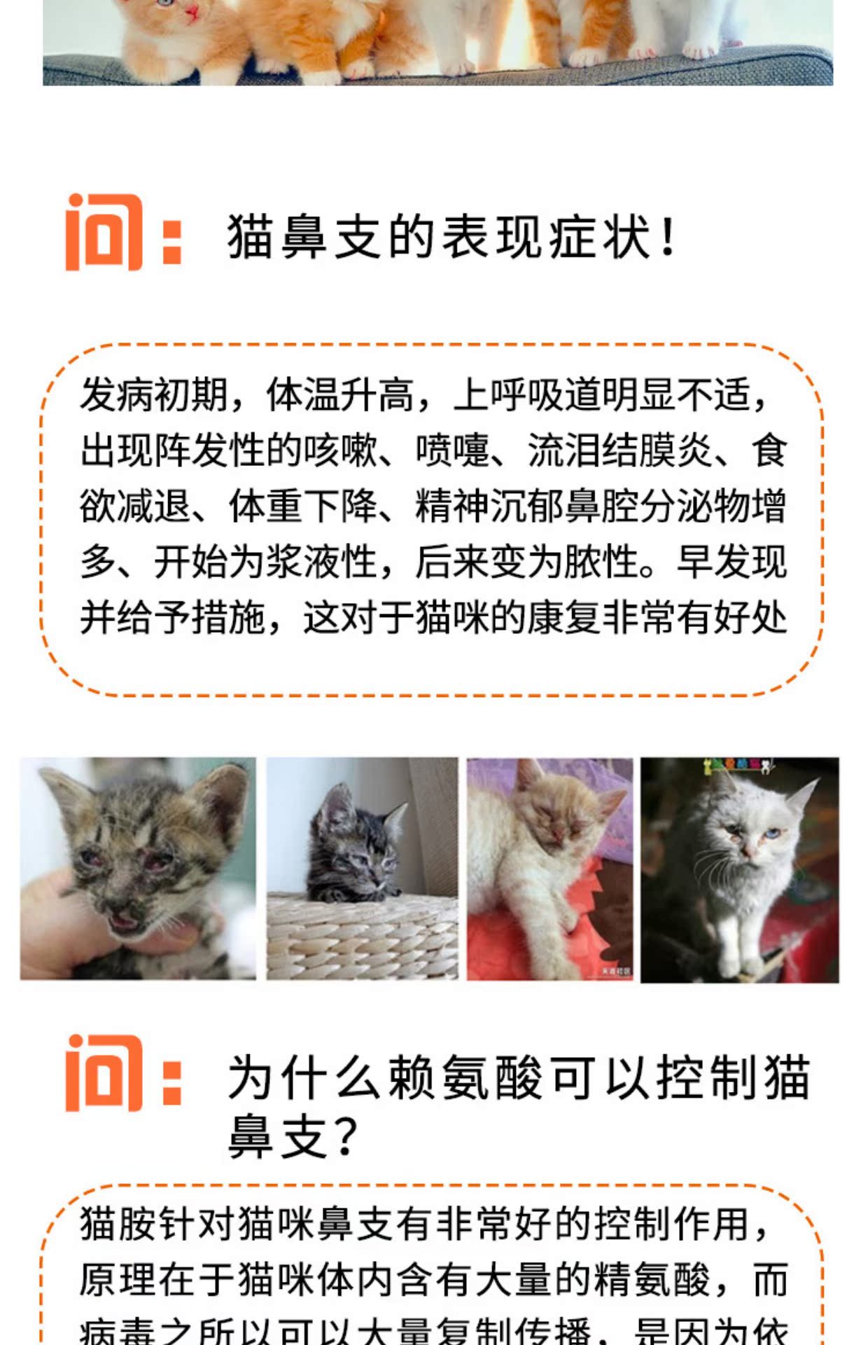 Cat Lysine Taurine Nasm Ammonia Powder Amino Acid Cat Amine lăn hắt hơi 200g - Cat / Dog Health bổ sung 	sữa cho mèo uống	