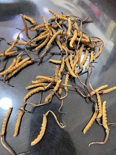 Cordyceps Wild Dried Cordyceps Yushu Naquzhi Dry No String Picks Selected Gifts 10g