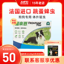 Forcome In Vitro Insect Repellent Pooch In Vitro Insect Repellent Medicine Midsize Dog In Vitro Dripper Forain Dog With Single Branch