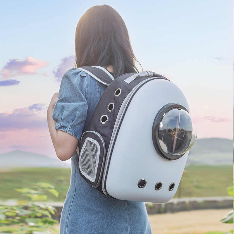 Cat Bag Out of portable cat Shoulder Bag Summer Transparent Pet Out Bag Large Capacity Double Shoulder Space Cabin Kitty Supplies