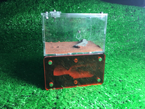 Falling Snow-Ant Pavilion ‖ Domestic Fireplace ‖ Loft (Loft 2)