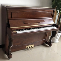 Maroon Nfr