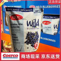 Ningbo Kaishike Canada imported Oxford brand frozen wild blueberries 1 5kg JD Cold Chain
