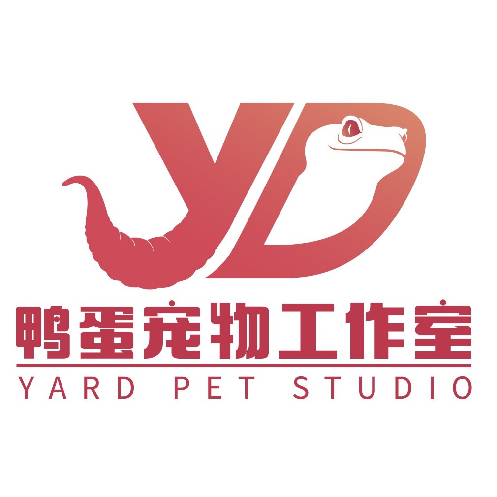 鸭蛋宠物工作室