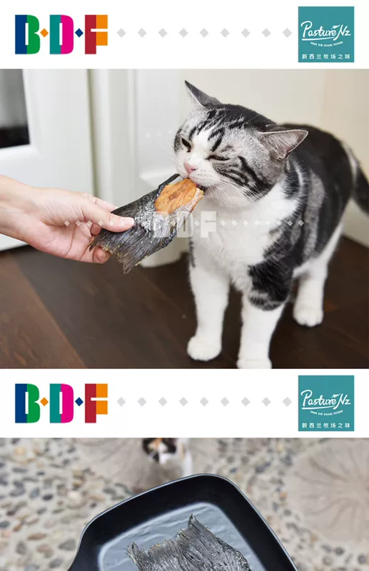 Beethoven Pet / New Zealand Ranch Cat Snack Cat Freeze Thịt khô Thịt khô Miếng thịt cá hồi Thịt bò - Đồ ăn nhẹ cho mèo