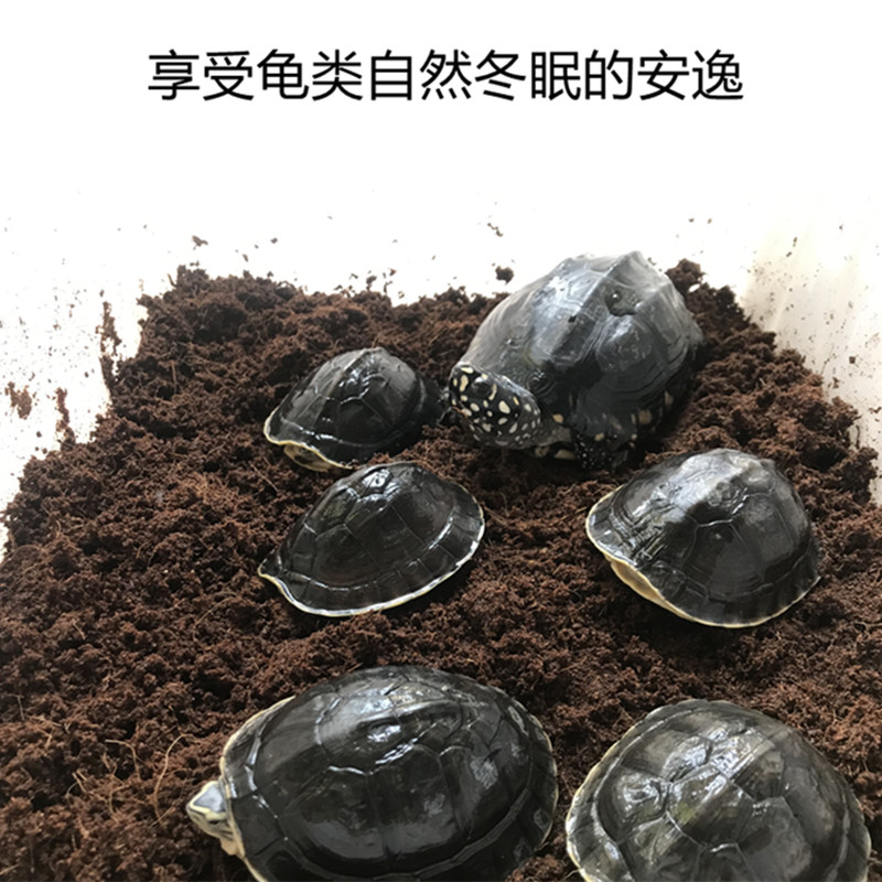 Climbing pet overwintering artifact coconut brick natural hibernating turtles hibernating pet mats climbing pet hibernating tortoise hibernating grass