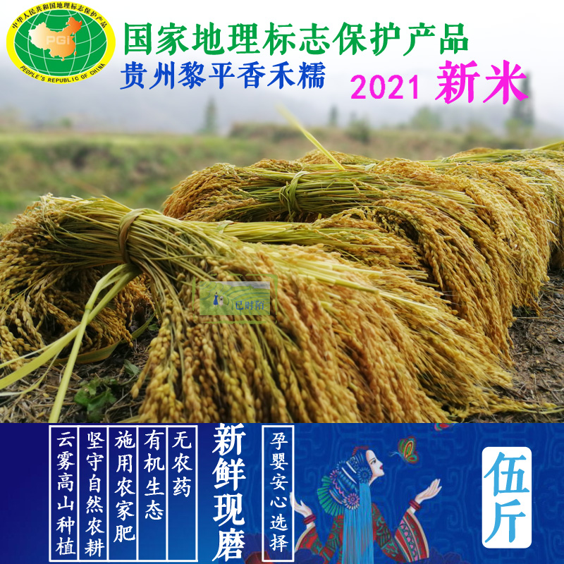 2021 Xinmi Liping Alpine terraces Xianghe glutinous new glutinous rice without pesticide and chemical fertilizer herbicide old varieties 5kg