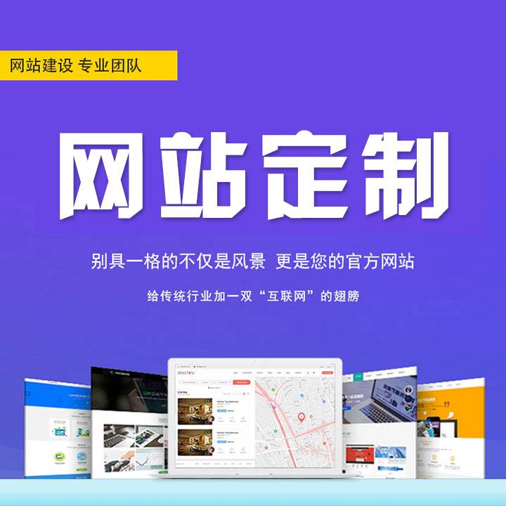 Website customization ASP fast building site development template enterprise site production web customization