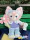 Shanghai Disney ການຊື້ພາຍໃນປະເທດ Lina Belle Cochin Doll Plush Doll Pendant Cartoon Doll Gift