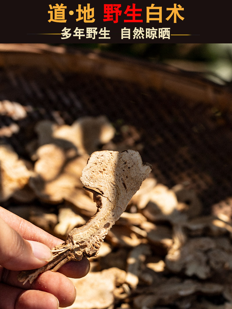 Bai Zhu Slices (Atractylodes macrocephala) — Sulfur-Free Bran-Fried Food Herb, 500g preparation