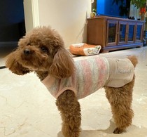 Day Single Pet Clothing Stripe Small Princess Dresses Nepotism Dog Kitty Cat Dog Attire