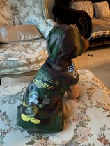 D family pet raincoat Japanese dog poncho day single dog clothes