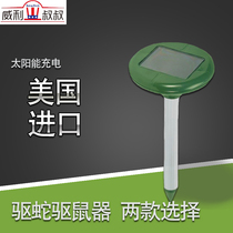 Snake powder rodent repellent anti-snake sulfur long-acting household outdoor artifact mosquito repellent fly gecko Spider artifact