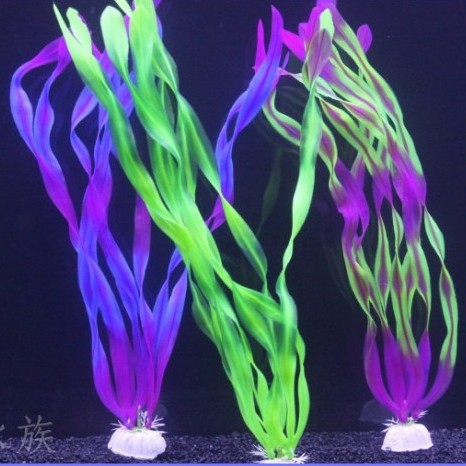 New fish tank building simulation aquarium decorated with water grass small section 33 cm High North American water Lander kelp seaweed