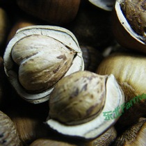 A large grain of water leaks wild mountain hazelnut 2022 new cargo northeast Jilin Changbai Mountain 1 kg of two pounds of iron noniron