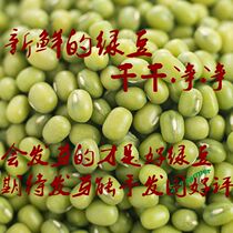 Fresh little dumb green beans 5 pounds of northeast Jilin farmers own grain bulk soda bud soup