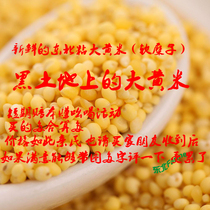 Yellow rice northeast Jilin glutinous millet farmer slick bean bak cake cut pastry clingy new meter 5 kg