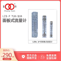 Flow meter flowmeter high precision flowmeter meter float flowmeter rotor LZB-8P 10P
