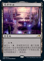 Magic: The Gathering Arasawa Takenuma Simplified Chinese Kamigawa Nichoki Land