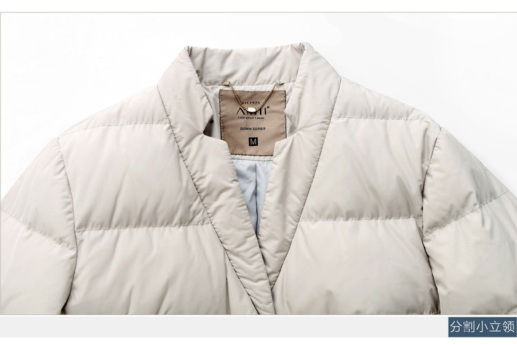  11541150_04.jpg