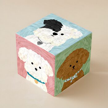 Dog animation cartoon fun intellectual toy rubik's cube