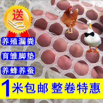 Plastic net breeding net brooding chickens ducks geese chicken coops foot pads leaking feces anti-fall nets beekeeping nets