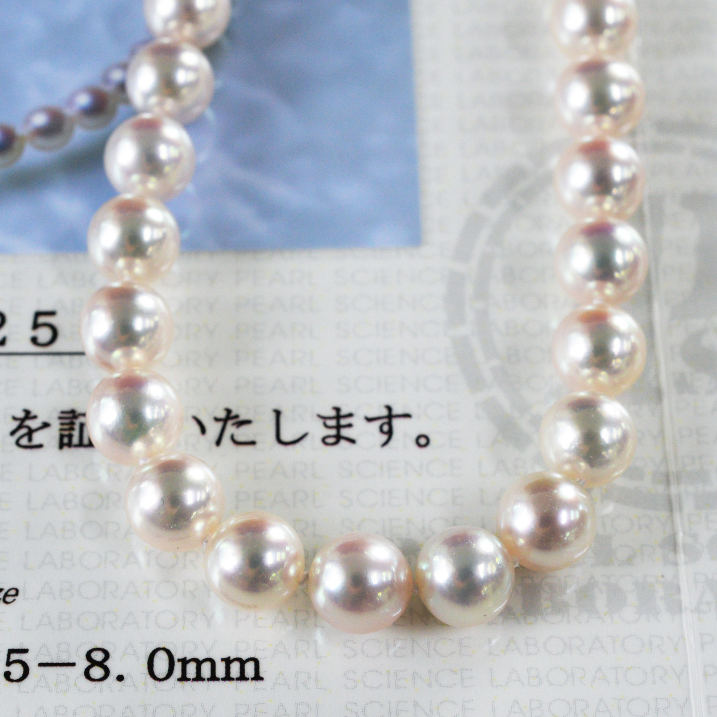 入手困難!!最高ランクA5☆希少激レア!!白!!白天珠 二十一眼天珠 天珠 天女7-7.5/7.5-8mm~日本大证高品质Akoya白色海水珍珠全珠项链-淘宝