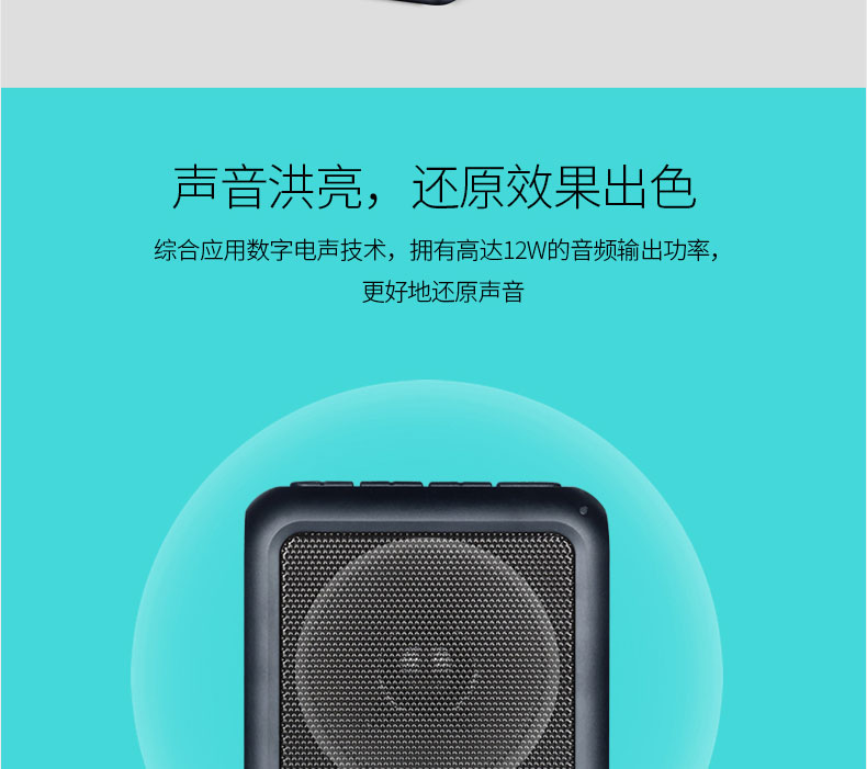 E270 DINESPEAKER DEVISTION_09.JPG