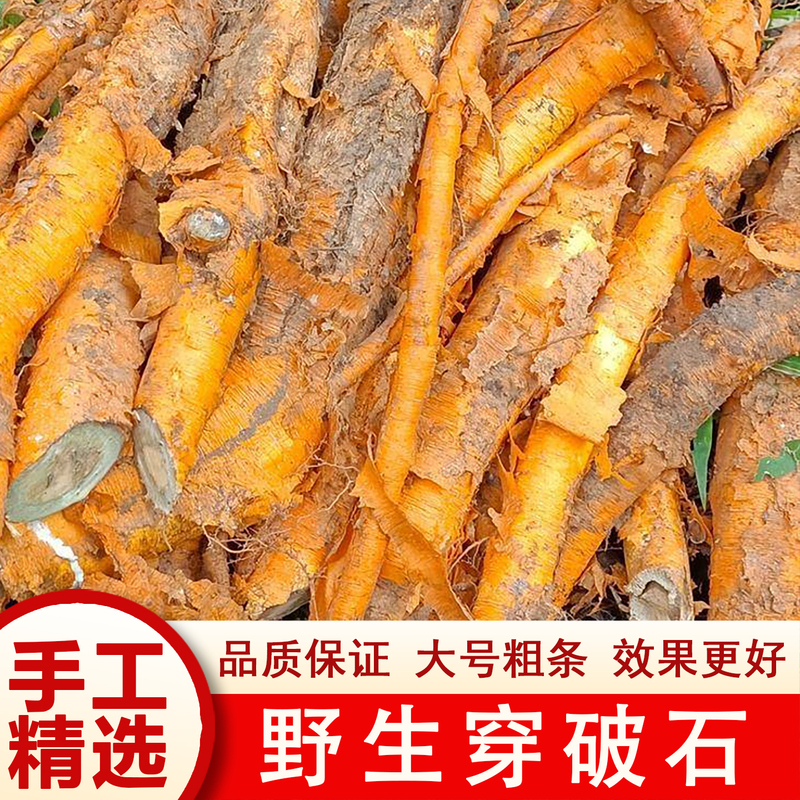 Authentic Wild Chinese Medicinal Herb 500g, Efficacy: Human Eye Thorn, Grass Cotton Thorn, Small Thorn Tree Root, Nine-Layer Bark