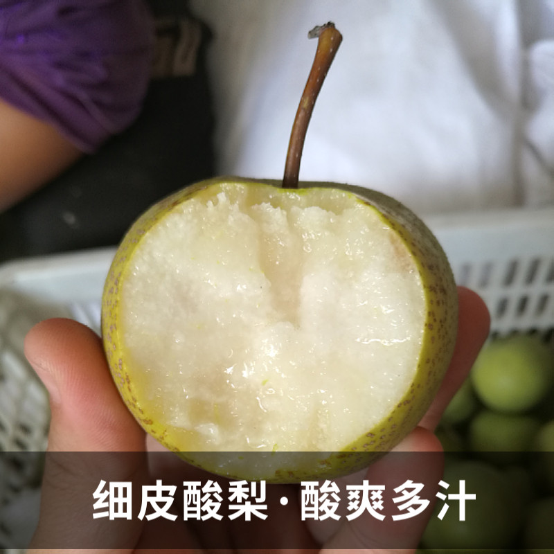 唐山遵化特产安梨，酸甜多汁的健康选择？-梨-淘宝好物网