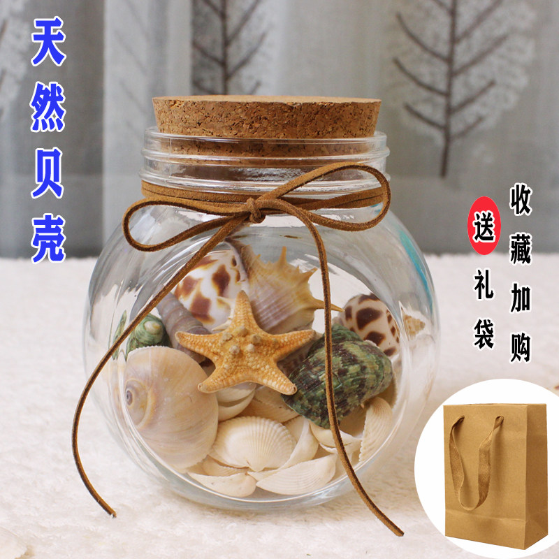 Creative installation of natural shells ocean drift bottle cork transparent beach conch wishing bottle glass jar star bottle
