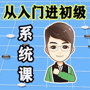 围棋入门进初级