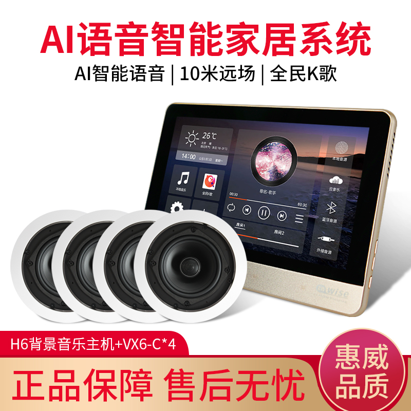 Hivi Huiwei Smart Voice Background Music Suit Stereo Set Resistance Coaxial Smallpox Ceiling Horn Sound
